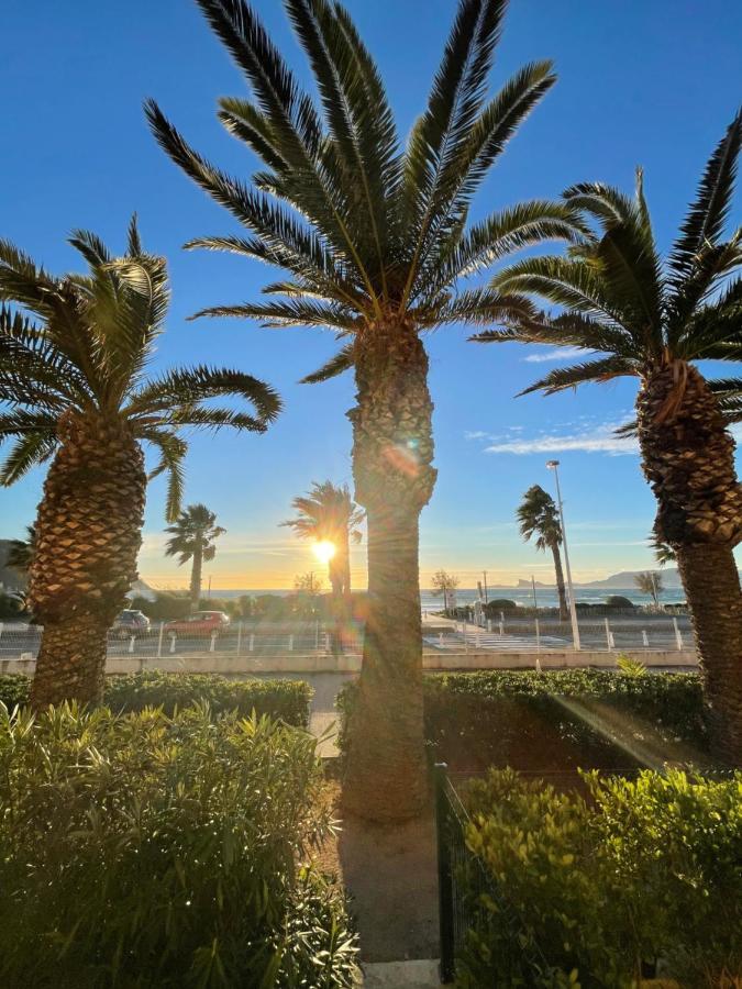 "Les Palmiers" Studio Spacieux Vue Mer Terrasse & Parking Saint-Cyr-sur-Mer Εξωτερικό φωτογραφία